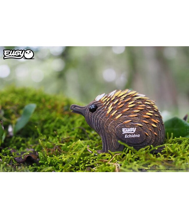 Eugy | 3D Cardboard Model Kit | Wild Life | Echydna - Mierenegel | 6+