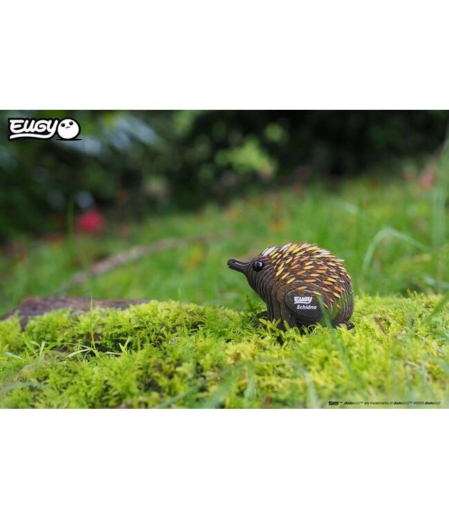 Eugy | 3D Cardboard Model Kit | Wild Life | Echydna - Mierenegel | 6+
