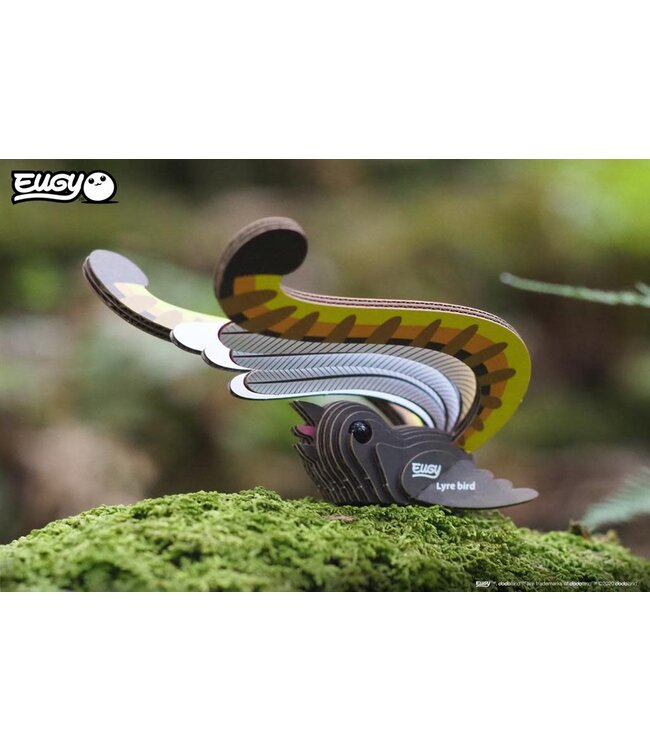 Eugy | 3D Cardboard Model Kit | Bird Life | Lyre Bird - Liervogel | 6+