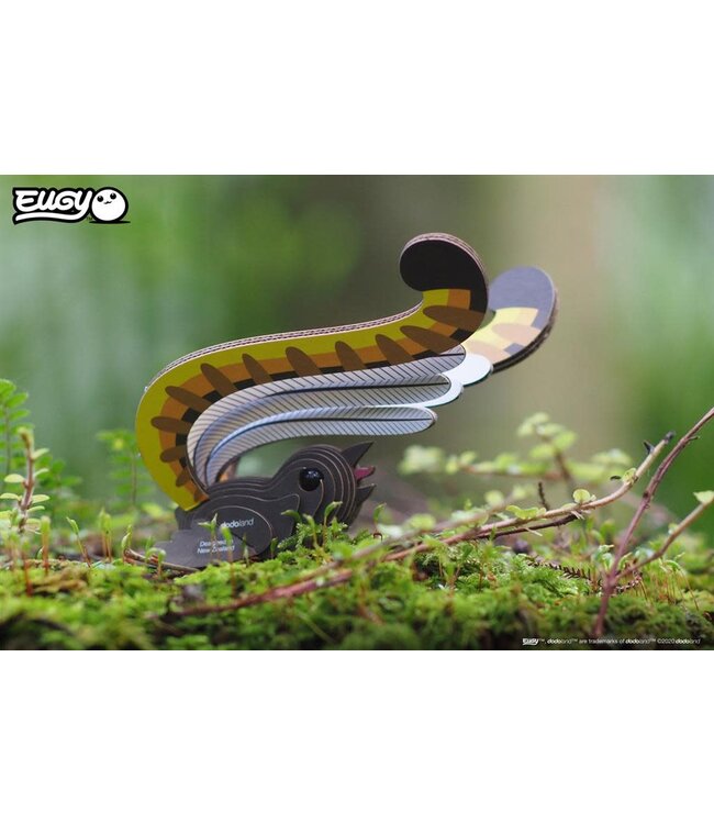 Eugy | 3D Cardboard Model Kit | Bird Life | Lyre Bird - Liervogel | 6+