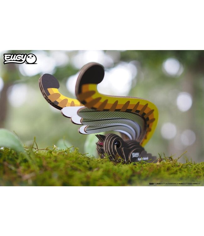 Eugy | 3D Cardboard Model Kit | Bird Life | Lyre Bird - Liervogel | 6+