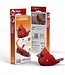 Eugy Eugy | 3D Cardboard Model Kit | Bird Life | Kardinaal | 6+