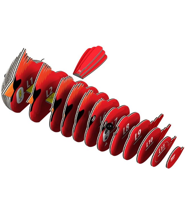 Eugy | 3D Cardboard Model Kit | Bird Life | Kardinaal | 6+