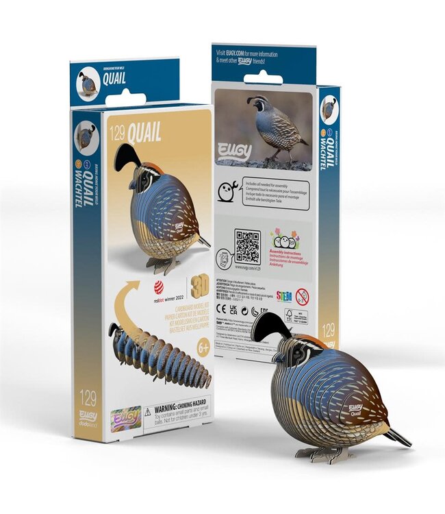 Eugy | 3D Cardboard Model Kit | Bird Life | Quail - Kwartel | 6+