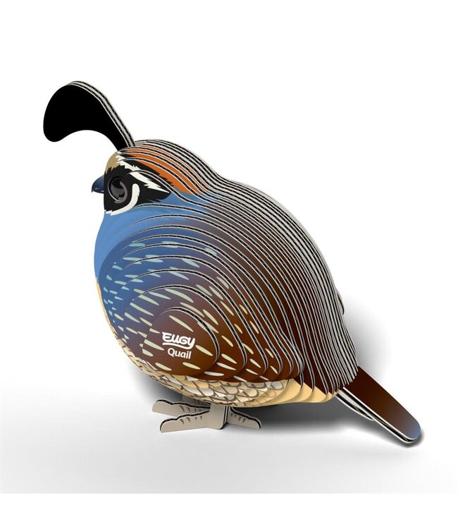 Eugy | 3D Cardboard Model Kit | Bird Life | Quail - Kwartel | 6+