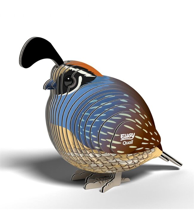 Eugy | 3D Cardboard Model Kit | Bird Life | Quail - Kwartel | 6+
