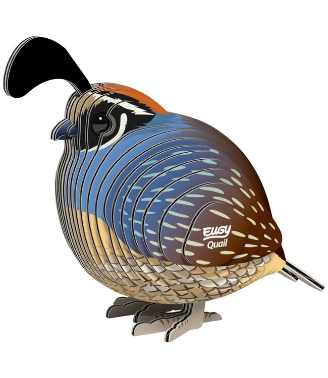Eugy | 3D Cardboard Model Kit | Bird Life | Quail - Kwartel | 6+