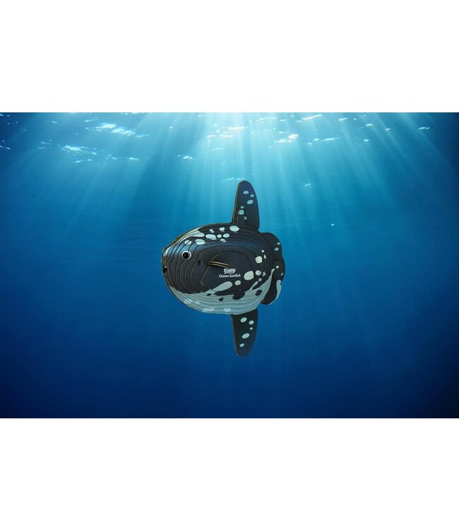 Eugy | 3D Cardboard Model Kit | Sea Life | Mola Mola | Ocean Sunfish - Maanvis | 6+