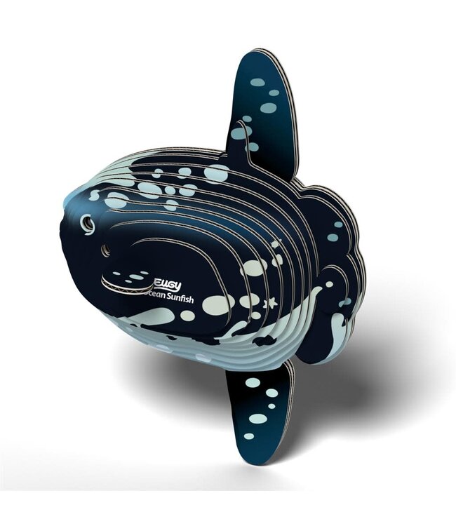 Eugy | 3D Cardboard Model Kit | Sea Life | Mola Mola | Ocean Sunfish - Maanvis | 6+