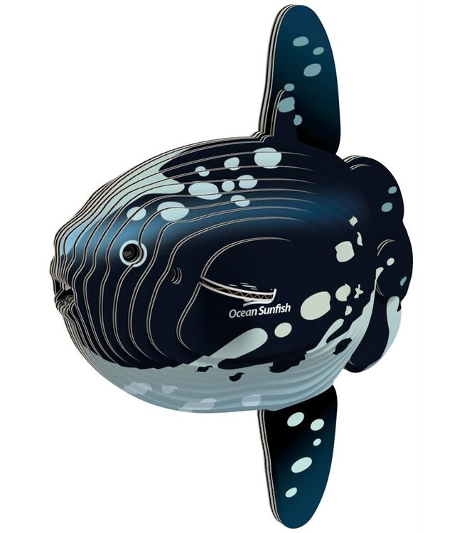Eugy | 3D Cardboard Model Kit | Sea Life | Mola Mola | Ocean Sunfish - Maanvis | 6+