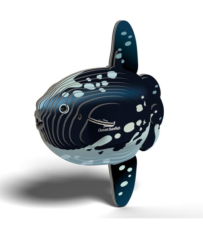 Eugy | 3D Cardboard Model Kit | Sea Life | Mola Mola | Ocean Sunfish - Maanvis | 6+