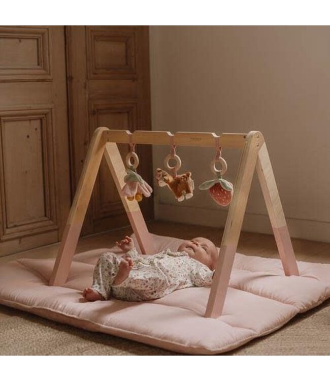 Little Dutch | Babygym | Fairy Garden | 0+