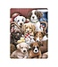 Live-Life Live Life | 3D | Ansichtkaart | 15,4 x 11,3 cm | Puppy Pals