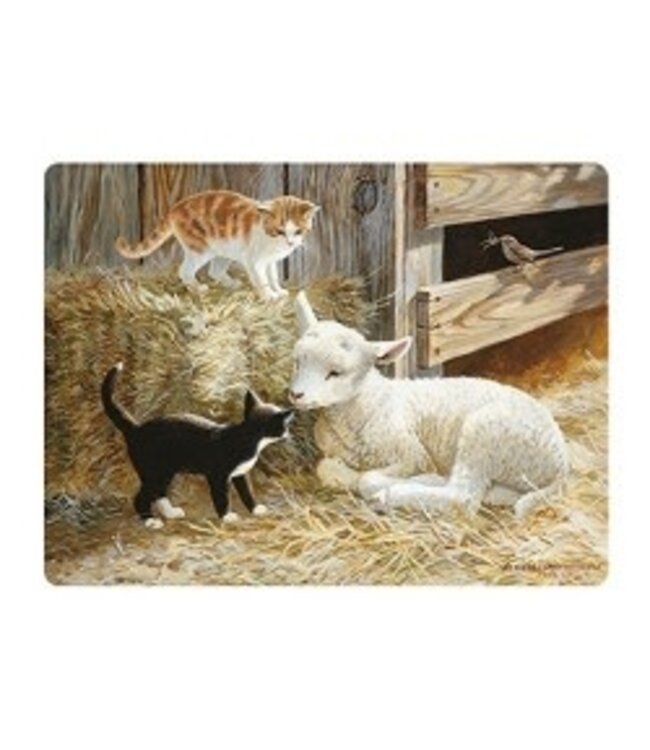 Live Life | 3D | Ansichtkaart | 15,4 x 11,3 cm | Springtime Kittens