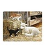 Live-Life Live Life | 3D | Ansichtkaart | 15,4 x 11,3 cm | Springtime Kittens