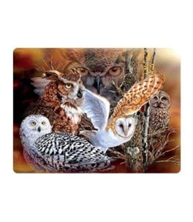 Live Life | 3D | Ansichtkaart | 15,4 x 11,3 cm | Owl Woods