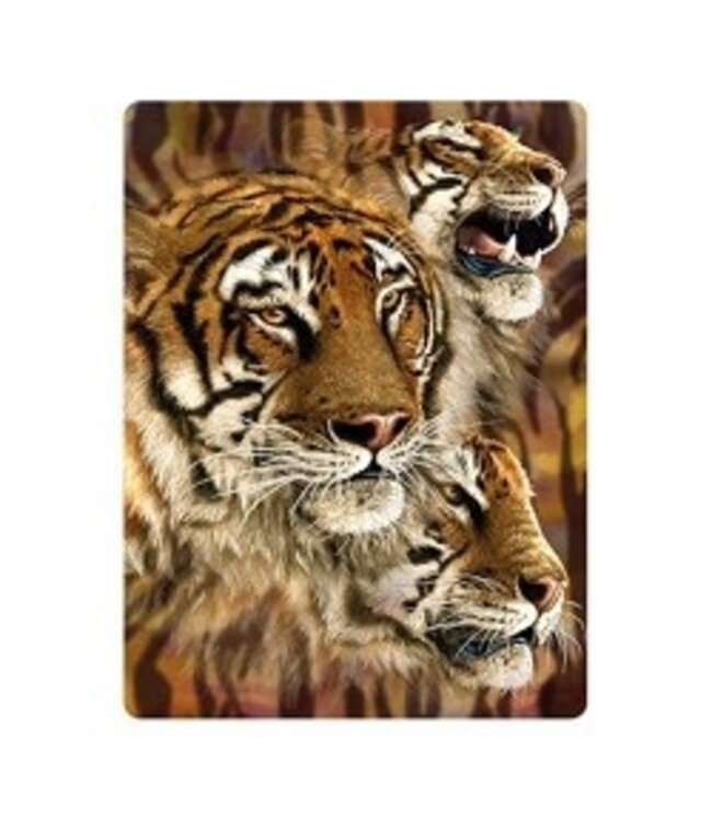 Live Life | 3D | Ansichtkaart | 15,4 x 11,3 cm | Tiger Stripes