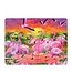 Live-Life Live Life | 3D | Ansichtkaart | 15,4 x 11,3 cm | Flamingo Lingo