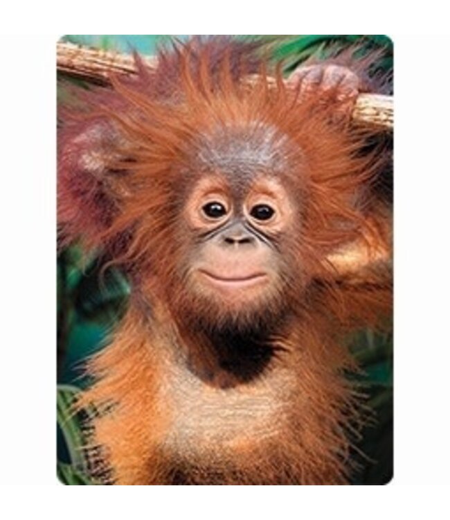 Live Life | 3D | Ansichtkaart | 15,4 x 11,3 cm | Baby Orangutan