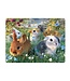 Live-Life Live Life | 3D | Ansichtkaart | 15,4 x 11,3 cm | Bunnies