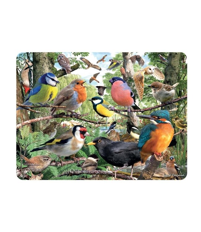 Live Life | 3D | Ansichtkaart | 15,4 x 11,3 cm | Nature's Home