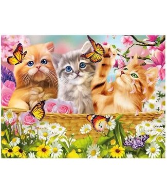 Live-Life Live Life | 3D | Ansichtkaart | 15,4 x 11,3 cm | Kitten Fun Times