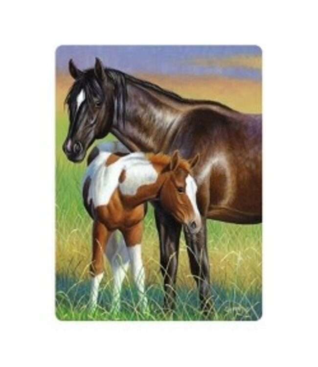 Live Life | 3D | Ansichtkaart | 15,4 x 11,3 cm | Mare & Foal