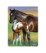 Live-Life Live Life | 3D | Ansichtkaart | 15,4 x 11,3 cm | Mare & Foal