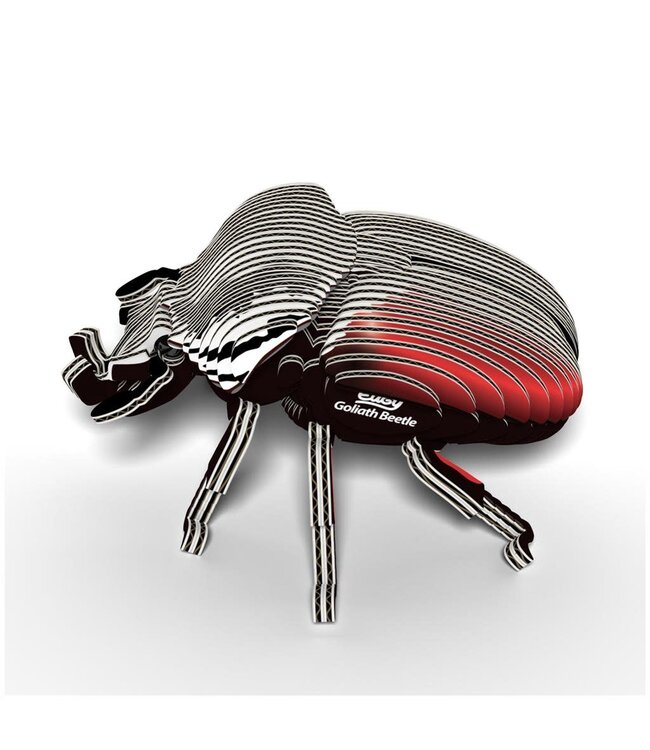 Eugy | 3D Cardboard Model Kit | Forest Life | Goliath Kever | 6+