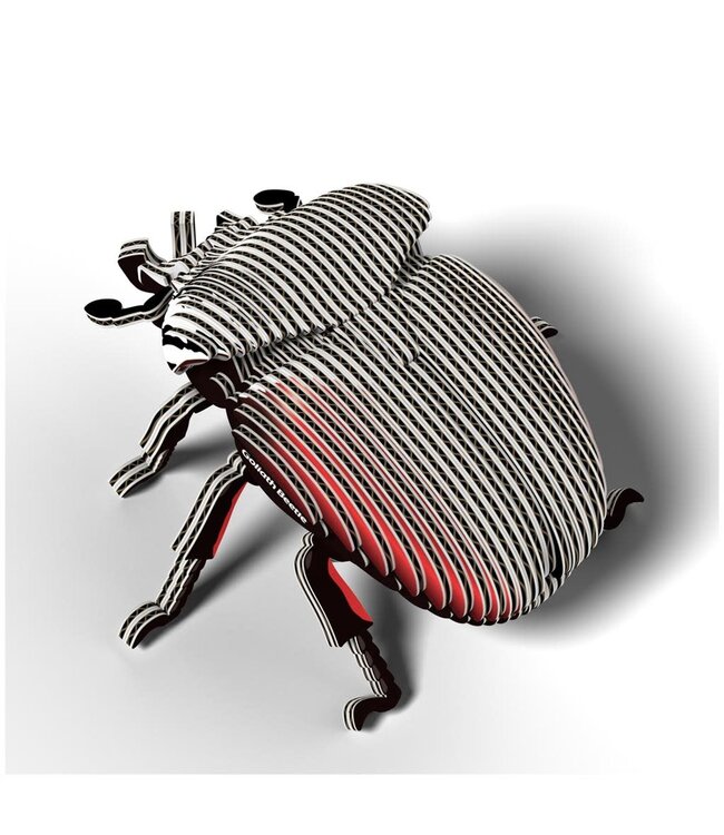 Eugy | 3D Cardboard Model Kit | Forest Life | Goliath Kever | 6+