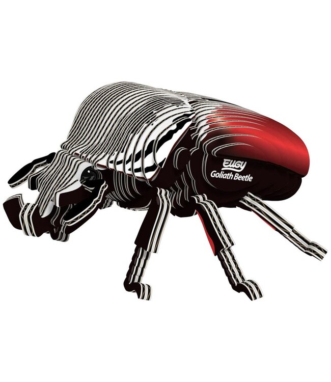 Eugy | 3D Cardboard Model Kit | Forest Life | Goliath Kever | 6+