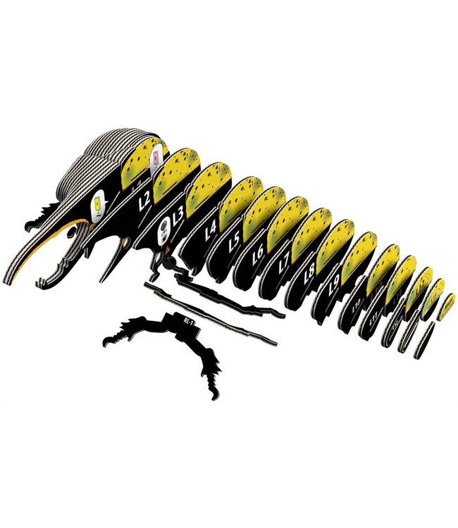 Eugy | 3D Cardboard Model Kit | Forest Life | Hercules Beetle | 6+