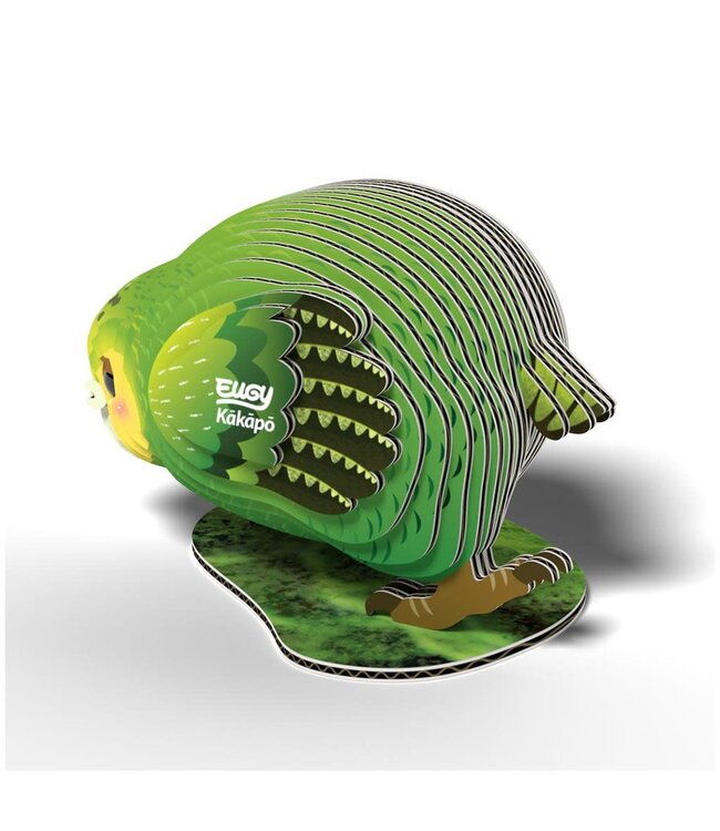 Eugy | 3D Cardboard Model Kit | Bird Life | Kakapo | 6+