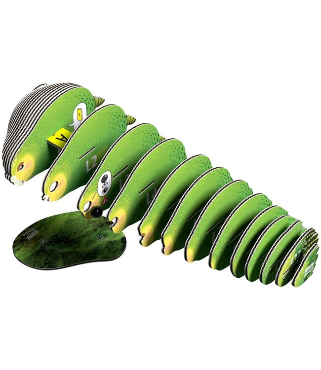 Eugy | 3D Cardboard Model Kit | Bird Life | Kakapo | 6+