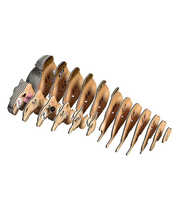 Eugy | 3D Cardboard Model Kit | Wild Life | Kameel | 6+