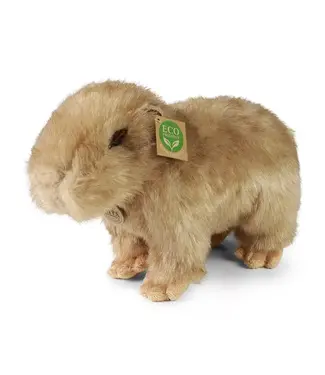 Rappa Plush Toy | Capibara | 30 cm | 0+