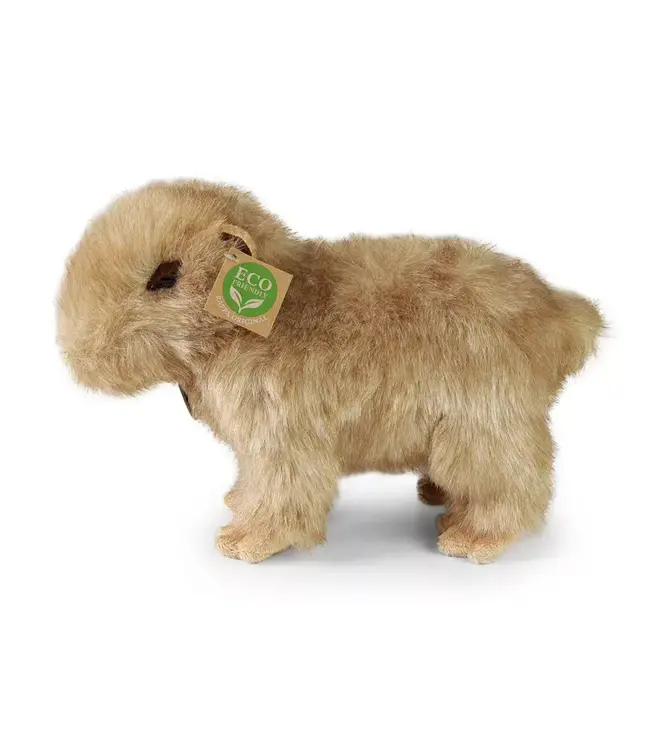 Rappa Plush Toy | Capibara | 30 cm | 0+