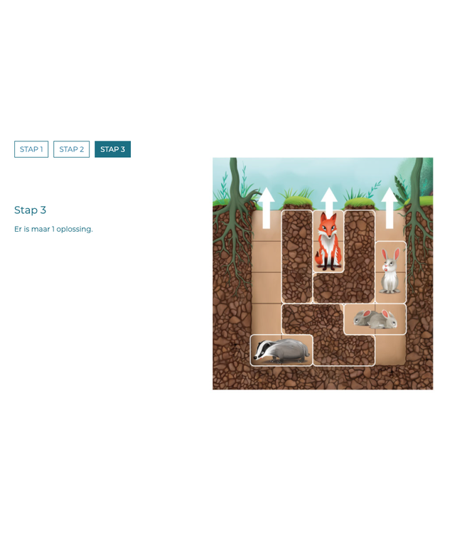 Smartgames | Magnetic Travel Game | Down The Rabbit Hole | 5+