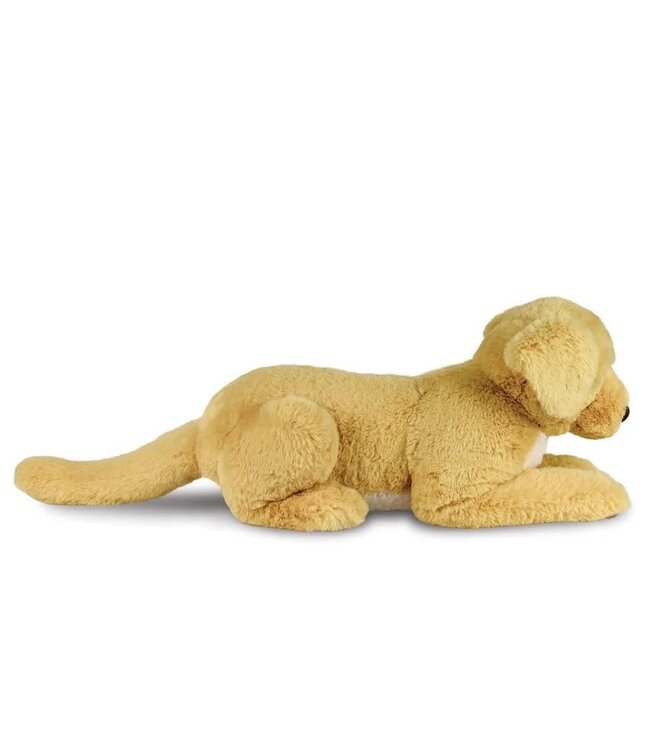 Aurora | Luxe Boutique | Borealis | Labrador | 51 cm | 0+