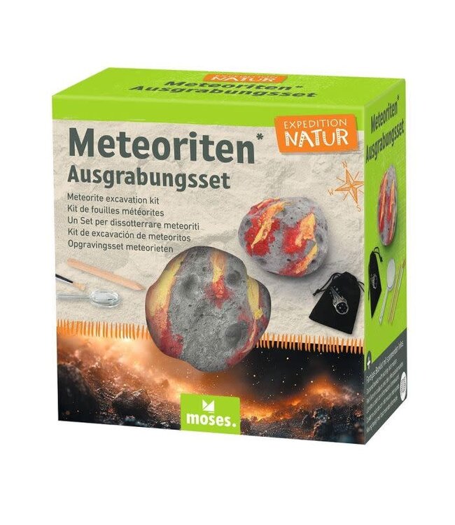 Moses | Expeditie Natuur | uithakset Meteoriet Replica | 7 cm | 6+