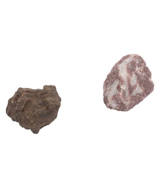 Moses | Expeditie Natuur | uithakset Meteoriet Replica | 7 cm | 6+