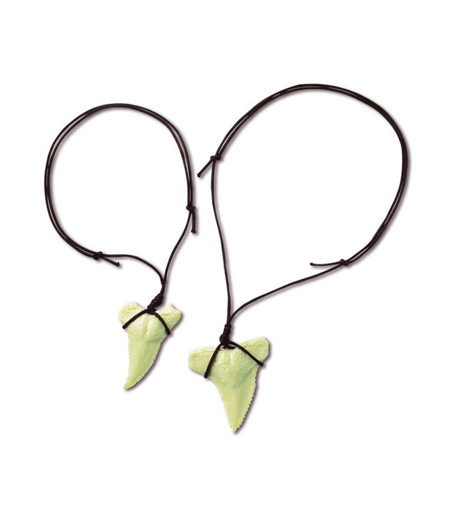 4M | KidzLabs | Dig & Play | Graaf je Haaientand op | 5+