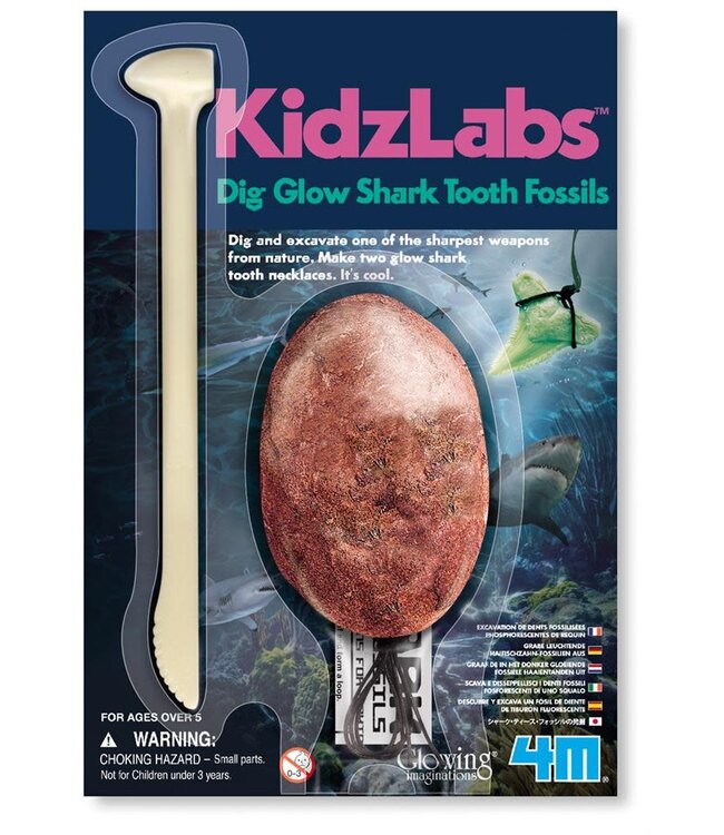 4M | KidzLabs | Dig & Play | Graaf je Haaientand op | 5+