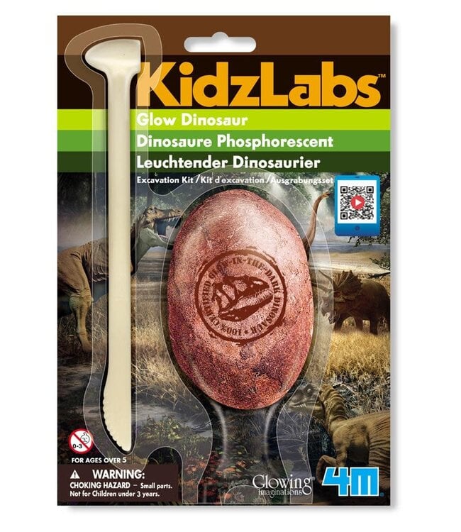 4M | KidzLabs | Dig & Play | Graaf je Dinosaurus op | Assorti | 5+