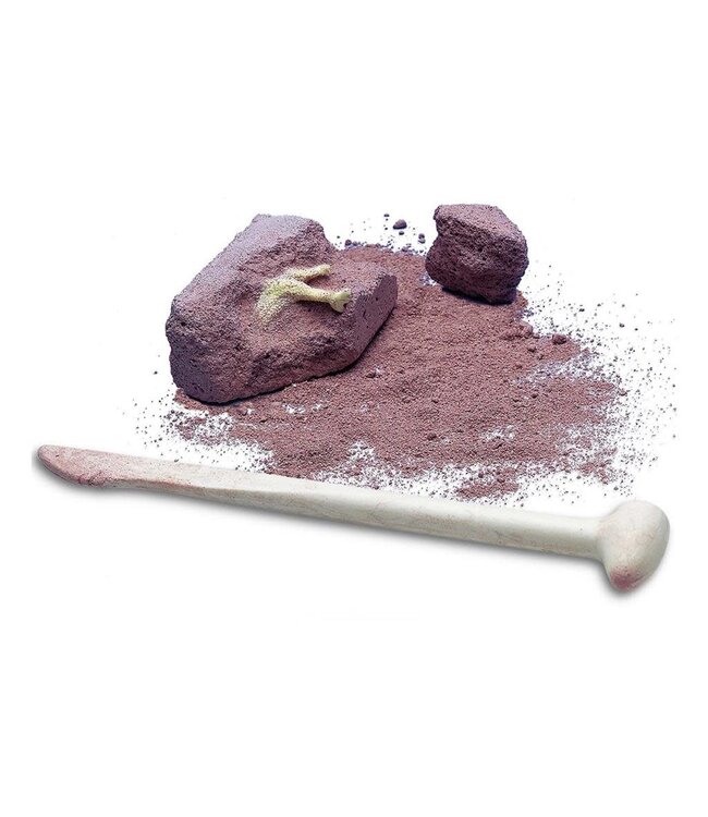 4M | KidzLabs | Dig & Play | Graaf je Dinosaurus op | Assorti | 5+