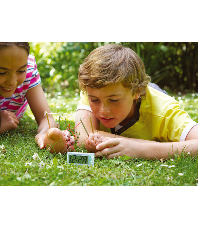 4M | Kidzlabs | Green Science | Potato Clock | 8+