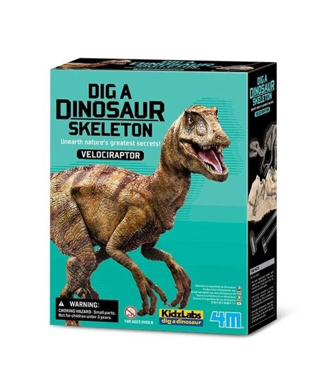 4M | KidzLabs | Graaf je dinosaurus op | Velociraptor | 8+