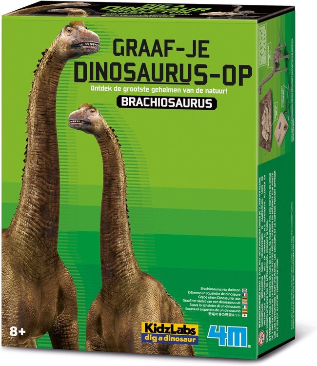 4M | KidzLabs | Graaf je dinosaurus op | Brachiosaurus | 8+