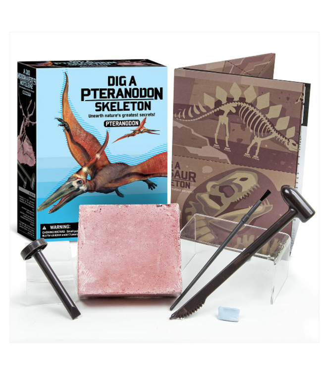 4M | KidzLabs | Graaf je dinosaurus op | Pteranodon | 8+