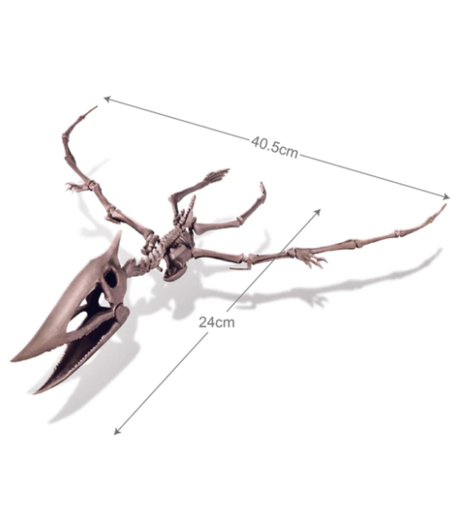 4M | KidzLabs | Graaf je dinosaurus op | Pteranodon | 8+